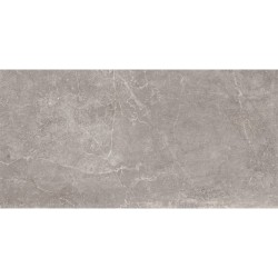 Плитка Baldocer Concept Grey Rectificado 1200x600