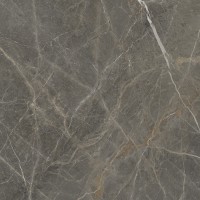 Плитка Golden Tile Stone Roots Brown SO7520 600x600