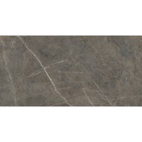 Плитка Golden Tile Stone Roots Brown SО79П0 1200x600