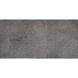 Плитка Almera Ceramica Fort Charcoal Expo 1200x600