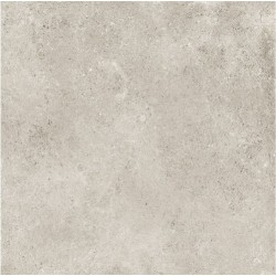 Плитка Svn-18Rt Grigio Chiaro Rett 800x800x10.5