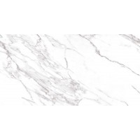 Плитка Allore Group Cassana White Satin 310X610