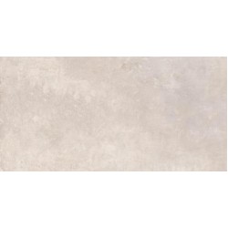 Плитка Allore Group Pacific Light Grey F Pc R Mat 600X1200
