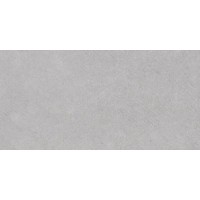 Плитка Allore Group Versailles Silver NR Satin 250x750