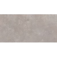 Плитка Allore Group Pacific Grey F P F R Mat 300X600