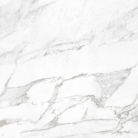Плитка Argenta Carrara White Shine 600X600