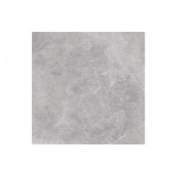 Плитка Nowa Gala Silver Grey Pol 597x597