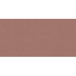 Плитка Abk 0008237 Wide & Style Mini Paprika Ret 1194X596