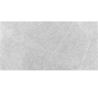 Almera Ceramica P.E. Northon Light Grey Mt Rect 1200x600
