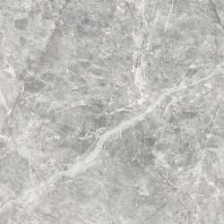 Pamesa At. Stone Grey 608x608