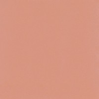 Плитка Paradyz Neve Creative Blush 198x198