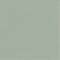 Плитка Paradyz Neve Creative Green 98x98