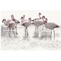 Декор Opoczno Elegant Stripes Panno Flamingo