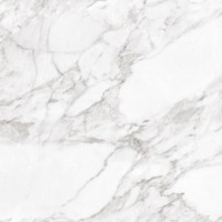Плитка Argenta Carrara White Shine 600x600
