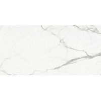 Плитка Opoczno Ginevra White Rect 598x298x8