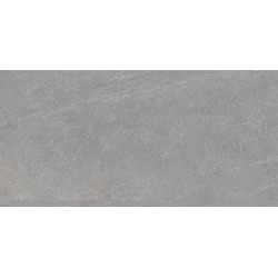 Плитка Paradyz Natural Rocks Silver RECT 1198x598