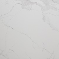 Плитка Allore Group Avenzo Silver F P R Satin 600x600