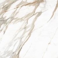 Плитка Allore Group Calacatta Gold F P R Satin 600x600