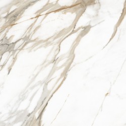 Плитка Allore Group Calacatta Gold F P R Satin 600x600