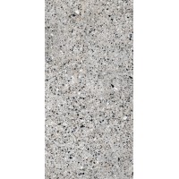 Плитка Allore Group Molika Silver F P R Mat 1200x600