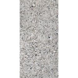 Плитка Allore Group Molika Silver F P R Mat 1200x600