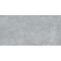 Плитка Allore Group Concrete Grey F P R Mat 600x300