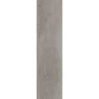 Плитка Allore Group Woodstock Grey F PR R Mat 900x225