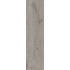 Плитка Allore Group Woodstock Grey F PR R Mat 900x225