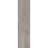 Плитка Allore Group Woodstock Grey F PR R Mat 900x225