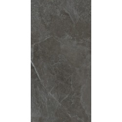Плитка Allore Group Mariya Anthracite F P R Mat 1200x600
