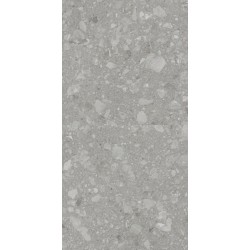 Плитка Allore Group Terra Grey F P R Mat 1200x600