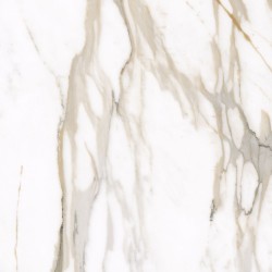 Плитка Allore Group Calacatta Gold Mat 600x600
