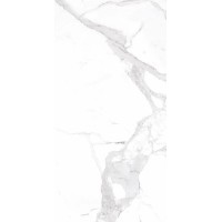 Плитка Allore Group Statuario White W M NR Satin 608x308