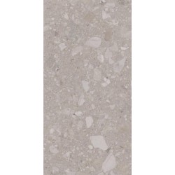 Плитка Allore Group Terra Beige F P R Mat 1200x600