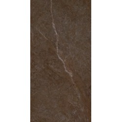 Плитка Allore Group Mariya Brown F P R Mat 1200x600