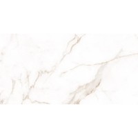 Плитка Allore Group Altero Gold W P NR Satin 610x310