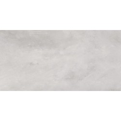 Плитка Allore Group Aura Light Grey W P NR Mat 608x308