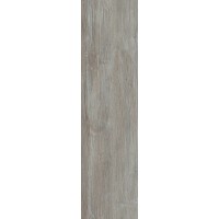 Плитка Allore Group Krakow Grey F PR R Mat 900x225