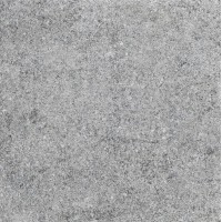 Плитка Allore Group Granito Grey F P R Mat 600x600