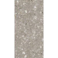 Плитка Allore Group Terra Greige F P R Mat 1200x600