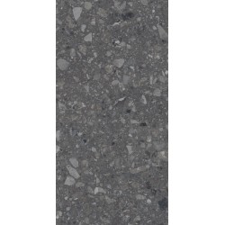 Плитка Allore Group Terra Anthracite F PC R Sugar 1200x600
