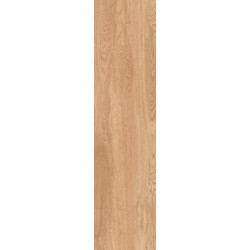 Плитка Allore Group Timber Beige F PR R Mat 1200x300