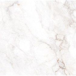 Плитка Allore Group Palazzo White F P R Full Lappato 600x600