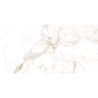 Плитка Allore Group Alcora Gold Mat 1200x600