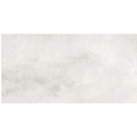 Плитка Allore Group Aura Light Grey W P NR Mat 610x310