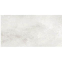 Плитка Allore Group Aura Light Grey W P NR Mat 610x310
