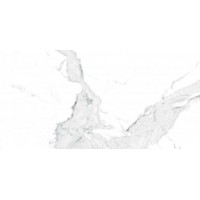 Плитка Allore Group Avenzo Silver F P Fr Mat 300X600