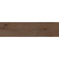 Плитка Allore Group Vivo Brown F PR NR Mat 600x150