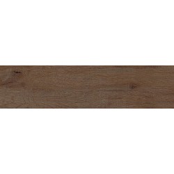 Плитка Allore Group Vivo Brown F PR NR Mat 600x150