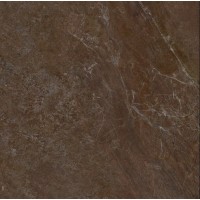 Плитка Allore Group Mariya Brown F P R Mat 600x600